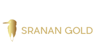Sranan Gold Continues to Extend the Mineralized Zone at the Randy’s Pit Target, Tapanahony Project, Suriname