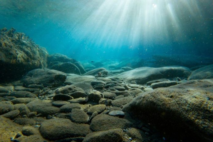 <p></p>
<p><strong>The seabed of the Baltic Sea is scattered with rock-like lumps that may one day fuel the global race for rare metals. </strong></p>
<p>But new research suggests these formations, known as mineral concretions, are far more than a potential resource: they are complex, slow-growing structures that play an important role in marine ecosystems.</p>
<p>A team from the Geological Survey of Finland (GTK) has used synchrotron-based imaging at the Canadian Light Source (CLS) in Saskatchewan to probe the makeup of these concretions. </p>
<p>Their findings shed light on how the lumps form, how they differ across environments, and how their removal could disrupt life on the sea floor.</p>
</p>
<p>“These concretions act like a sponge, absorbing anything that is in the water column,” said geologist Joonas Wasiljeff, who was part of the GTK team. “We still don’t know enough that we can just go collect everything from the seafloor. If we remove them that may have drastic impacts on the ecosystem that may not ever recover.”</p>
<p>The GTK team identified three broad types in the Baltic Sea: iron-rich crusts, manganese-heavy discs and spheroidal nodules. Each type’s shape and composition are closely linked to environmental factors such as currents, sediment deposits and oxygen levels.</p>
<p>Crusts typically form in shallower, turbulent waters near shore, where stronger currents bring in terrestrial material like clays and micas. These iron-rich formations also contain trace amounts of vanadium and some rare earth elements. </p>
<p>By contrast, the discs and spheres tend to form in calmer, deeper water. They are more manganese-rich and host metals such as zinc, cobalt and higher concentrations of rare earth elements.</p>
<p>Despite the presence of resources, the rock-like lumps do more than trap metals. They provide critical hard surfaces on the seabed, where creatures like clams can anchor and other marine life can establish itself. </p>
<p>Their removal, Wasiljeff cautioned, risks breaking links in the food web and destabilizing benthic ecosystems.</p>
<p>At the same time, the economic allure of these deposits is clear. With rising demand for metals such as cobalt and rare earth elements — critical for batteries, electronics and renewable energy technologies — seabed mining has become a frontier of resource exploration. </p>
<p>China, Norway and Pacific island nations have already advanced projects targeting similar deposits in international waters.</p>
<p>The GTK study adds weight to calls for caution, showing that the same features that make these concretions promising as a resource also make them slow to form and ecologically significant.</p>
<p>The timing of the Baltic findings is also crucial as seabed mining takes on new geopolitical weight. </p>
<p>US President Donald Trump’s push to build an American stockpile of critical minerals from the seafloor has <u>g</u>ained fresh momentum with Bahrain throwing its support behind Impossible Metals, a California startup.</p>
<p>However, debates regarding deep sea mining’s feasibility continue. The International Seabed Authority (ISA), the UN agency tasked with regulating deep-sea mining, has issued over 30 exploratory permits but has yet to finalize rules for commercial extraction. </p>
<p>That regulatory vacuum has fueled unilateral actions by states and companies alike, raising questions about whether collective governance of the seabed can hold.</p>
<p>The researchers noted that the mineral phases and formation mechanisms of Baltic Sea concretions resemble those found in other shallow marine environments worldwide. That suggests lessons from the Baltic could apply to seabed resource debates in other regions.</p>
<p>The broader implication, according to Wasiljeff, is that decisions on seabed mining must weigh both the potential supply of critical metals and the ecological functions of these deposits. </p>
<p><strong>Securities Disclosure: I, Giann Liguid, hold no direct investment interest in any company mentioned in this article.</strong></p>
<p></p>
<div>This post appeared first on investingnews.com</div>
<br>